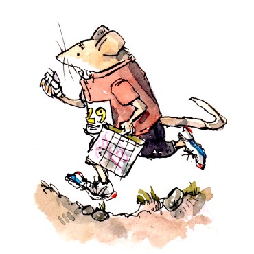 orienteering-steve