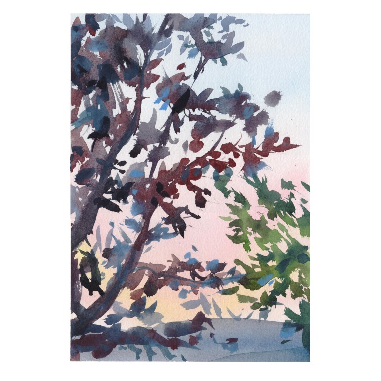 sunset through leaves 002