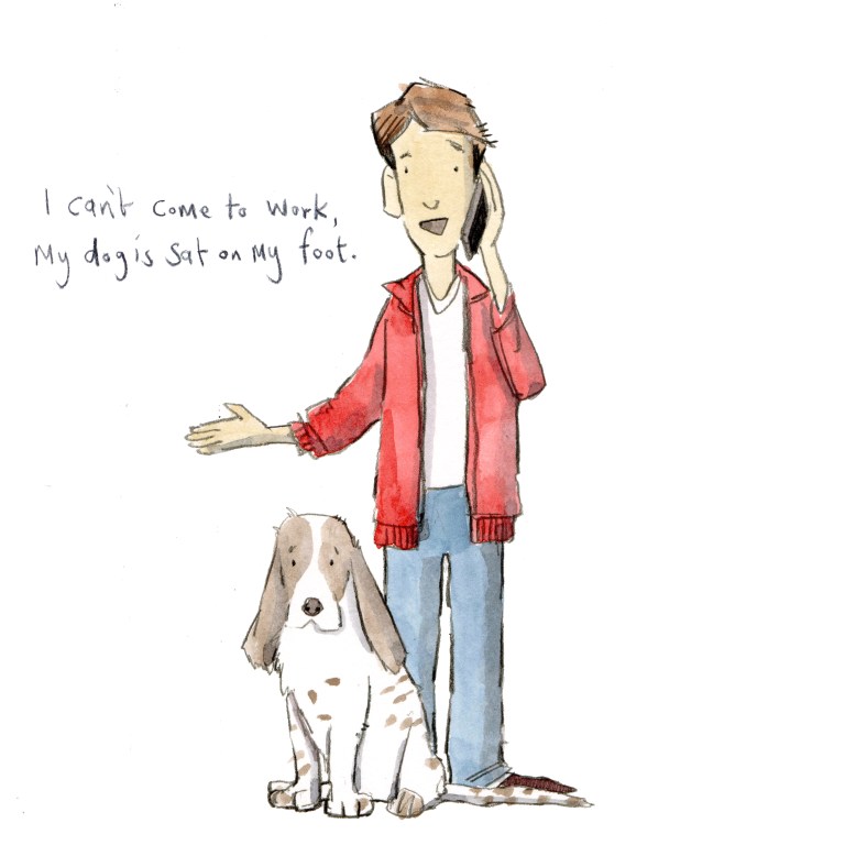 dog 003