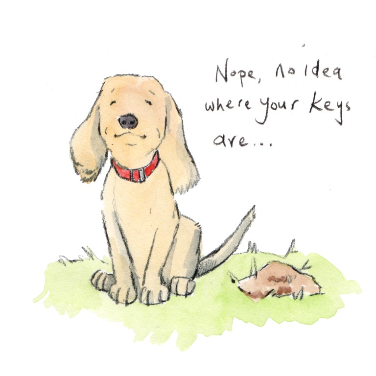 dog 004