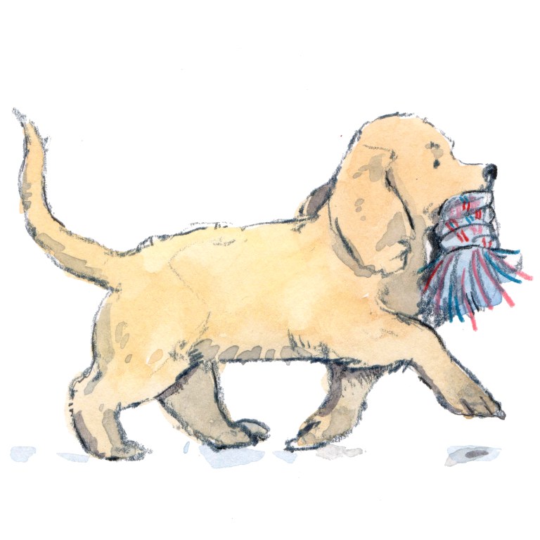 puppy with toy 001