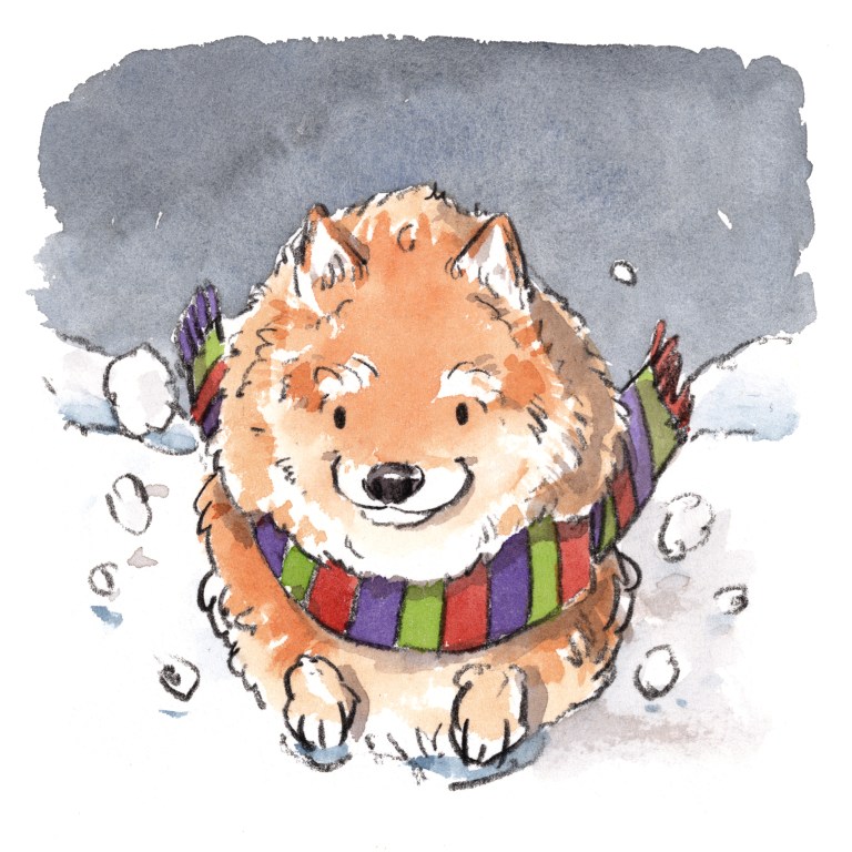 dog_20190927_0006 - Copy