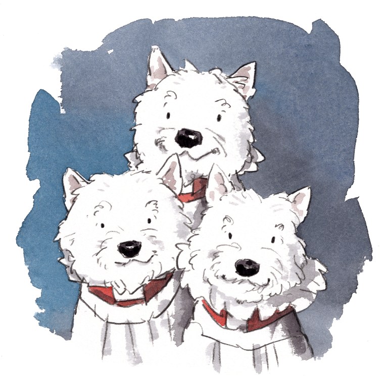 dog_20191224_0003small