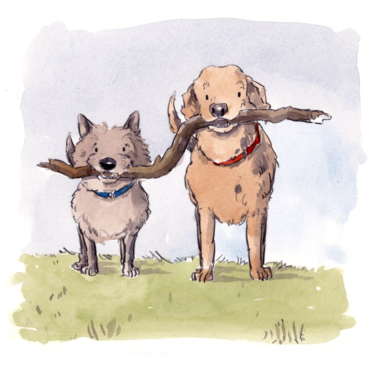 dog_20191214_0001small