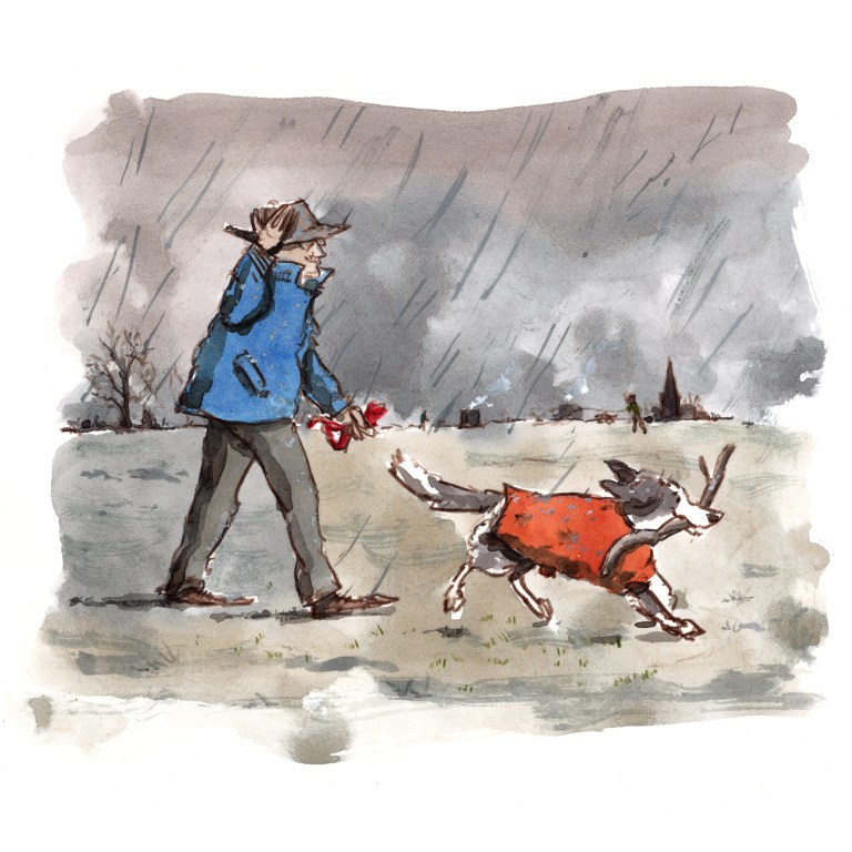 dog_20191219_0001small