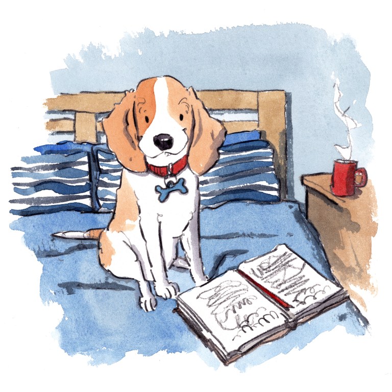 dog_20191226_0001small