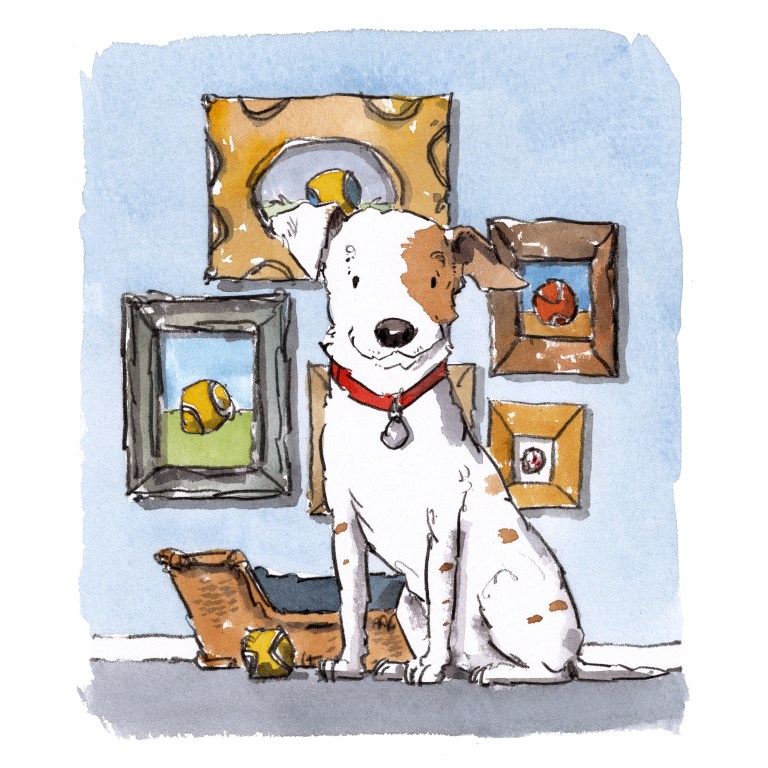 dog_20191228_0001small