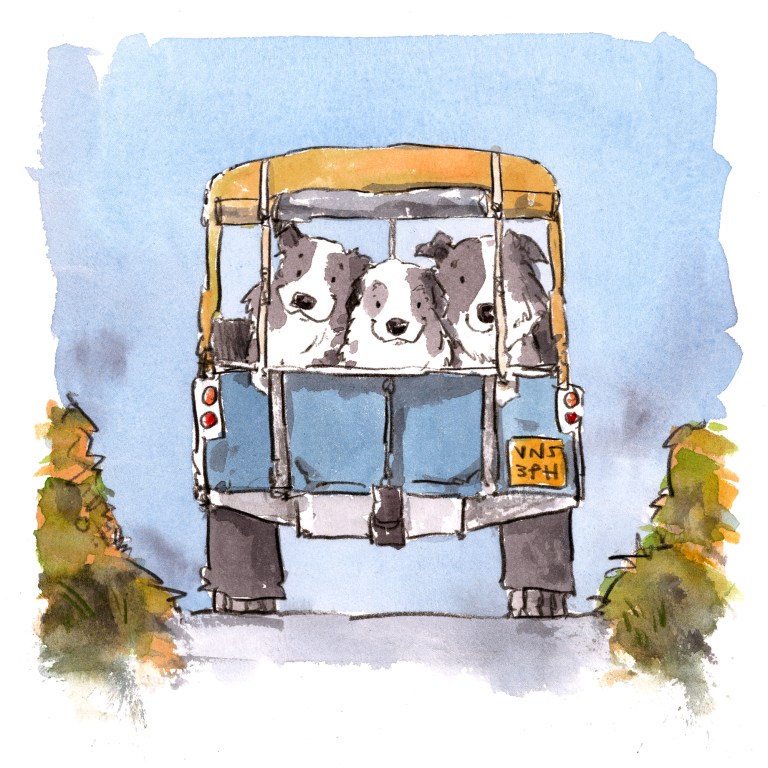 dog_20200102_0004small