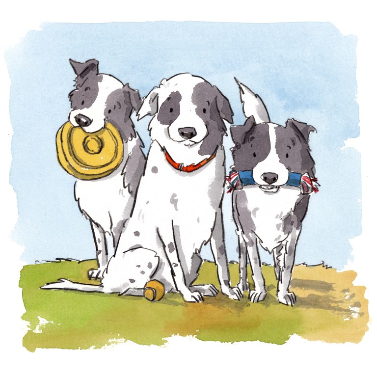 dog_20200104_0001small