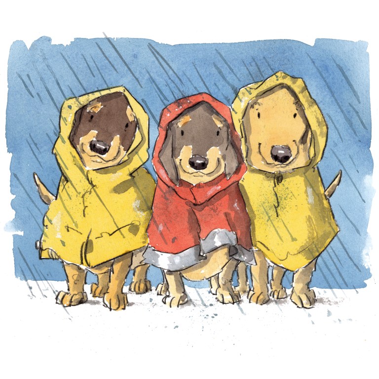 dog_20200112_0001small