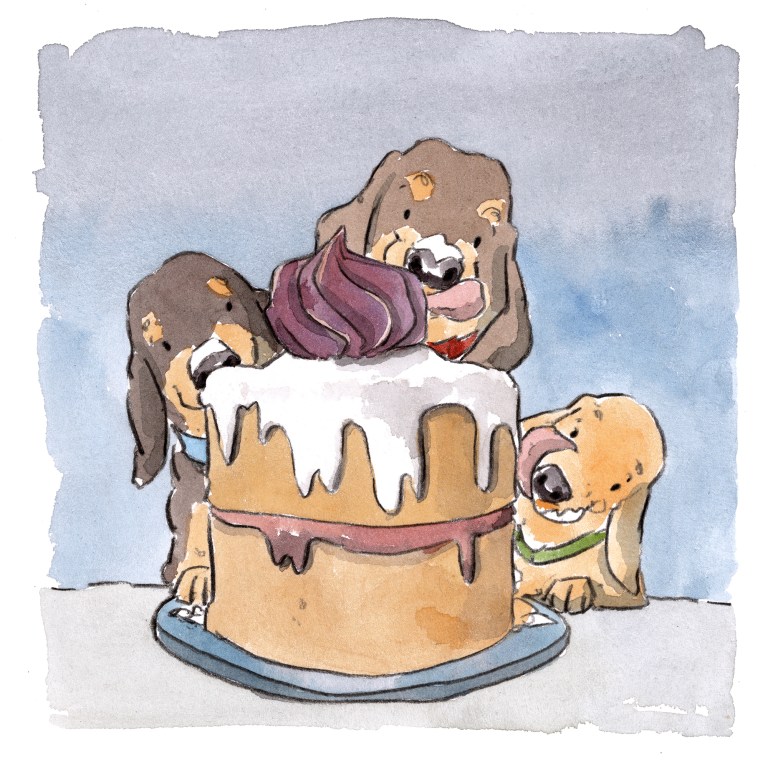 dog_20200113_0001small