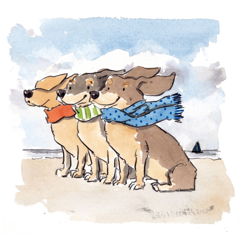 dog_20200114_0004small