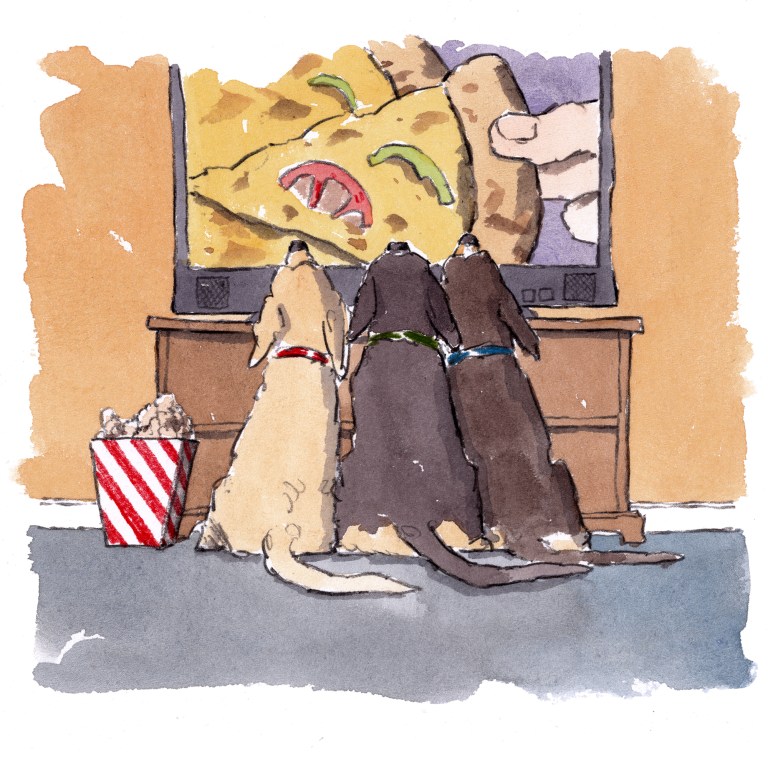 dog_20200117_0003small