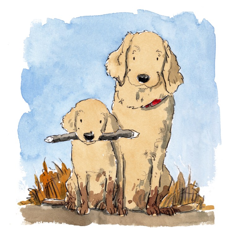 dog_20200129_0001small