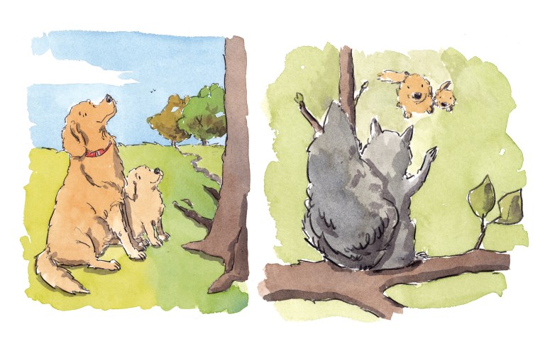 dog_20200130_0001small