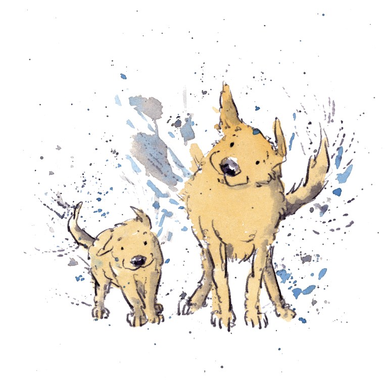 dog_20200131_0005small