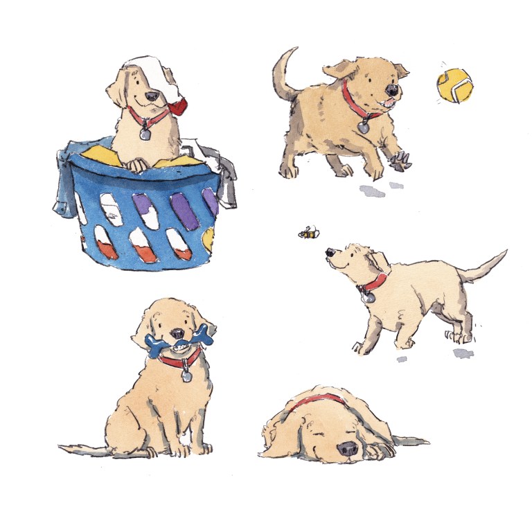 dog_20200201_0001small