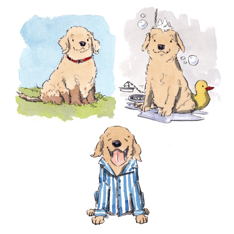 dog_20200203_0003small