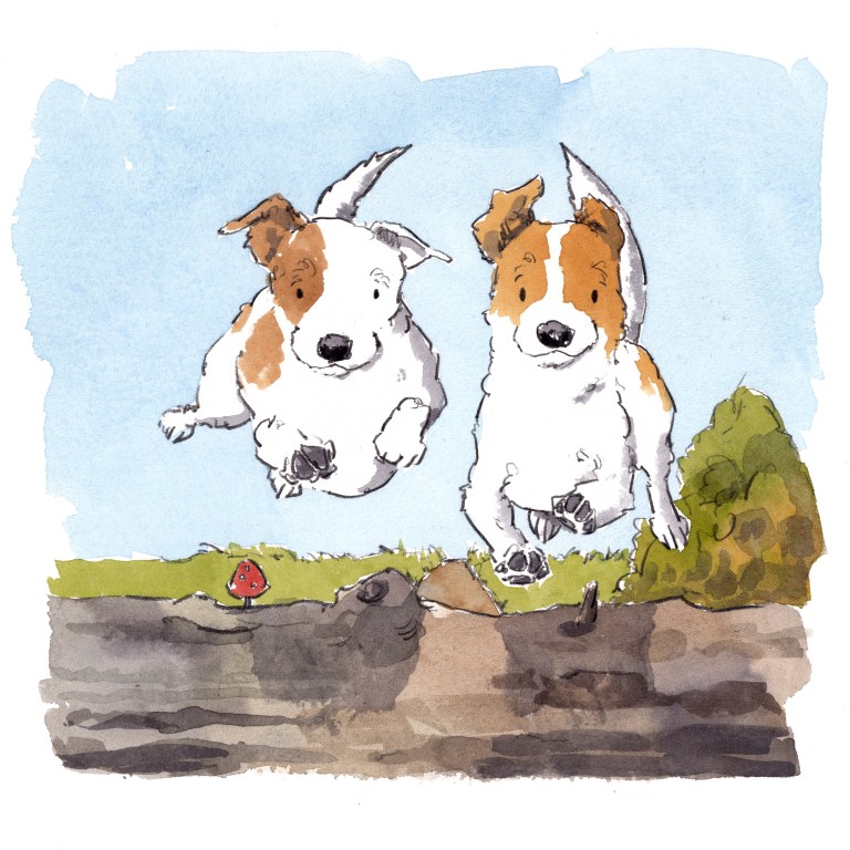 dog_20200205_0001small