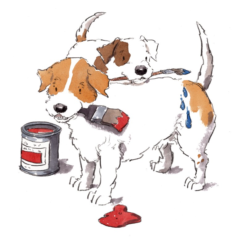 dog_20200206_0001small