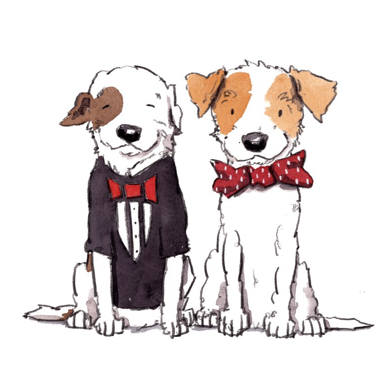 dog_20200209_0003small