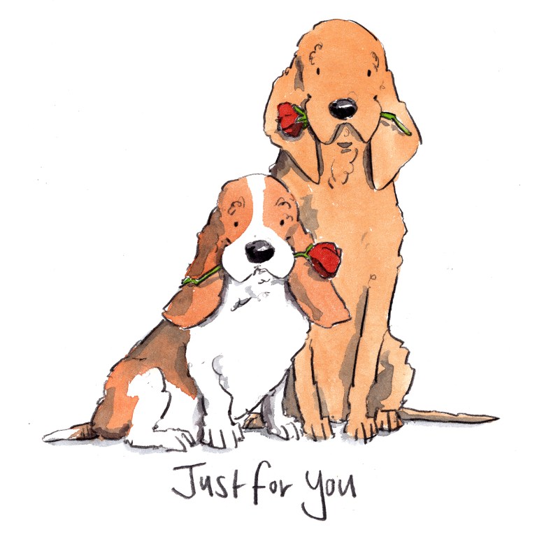 dog_20200214_0001small