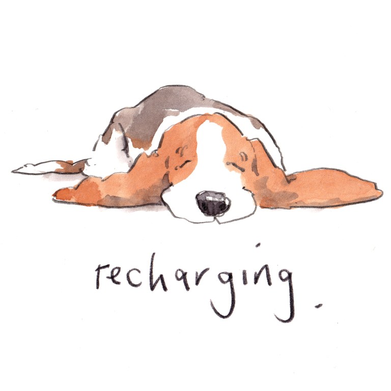 dog_20200216_0003small