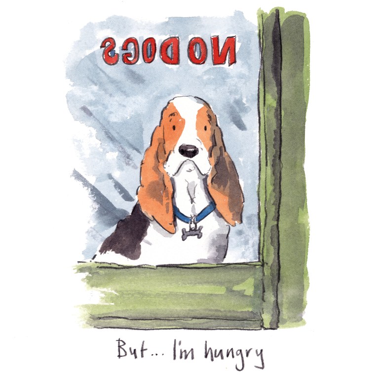 dog_20200218_0003small