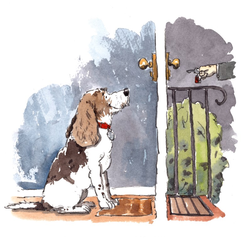 dog_20200221_0001small