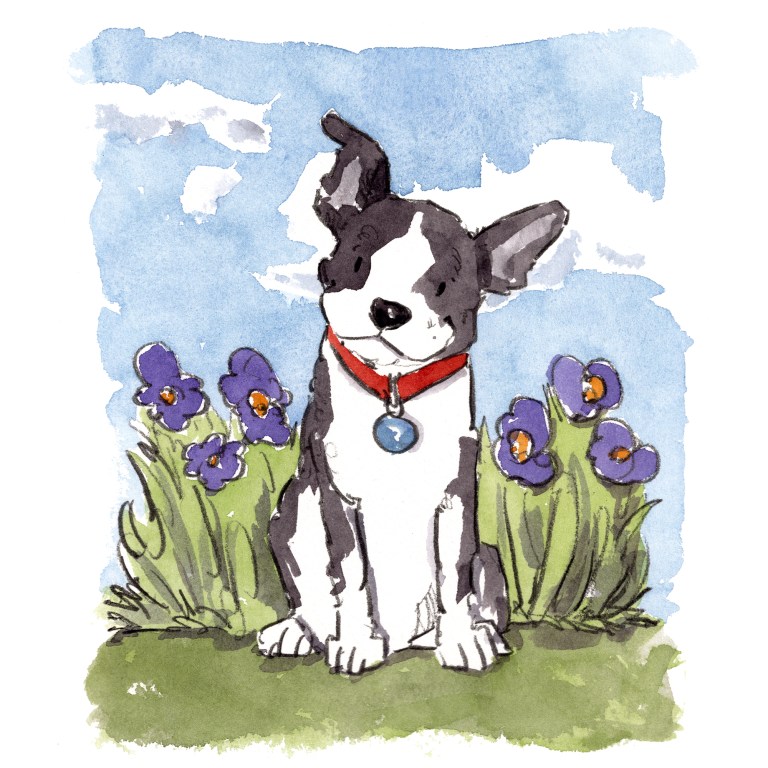 dog_20200222_0002small