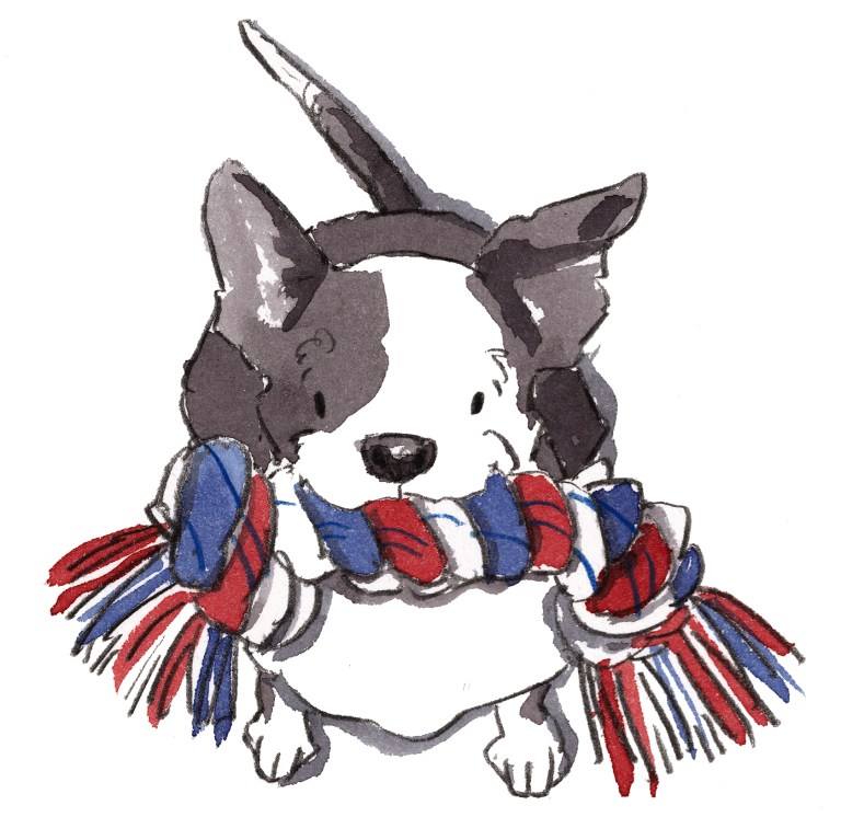 IMG_20200225_0007small