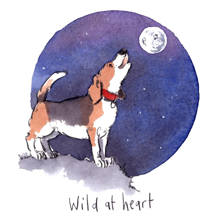 IMG_20200320_0001small