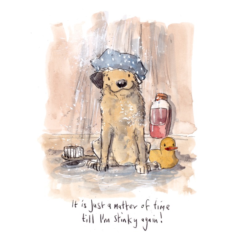 IMG_20200329_0001small