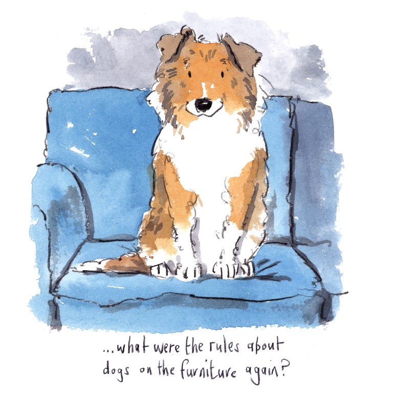 IMG_20200401_0001small