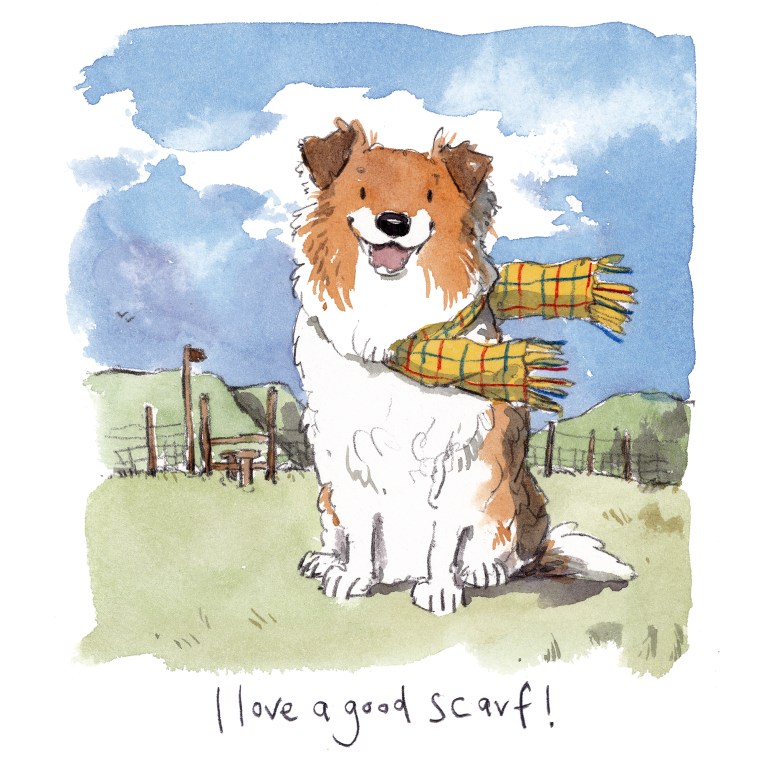 IMG_20200402_0001small